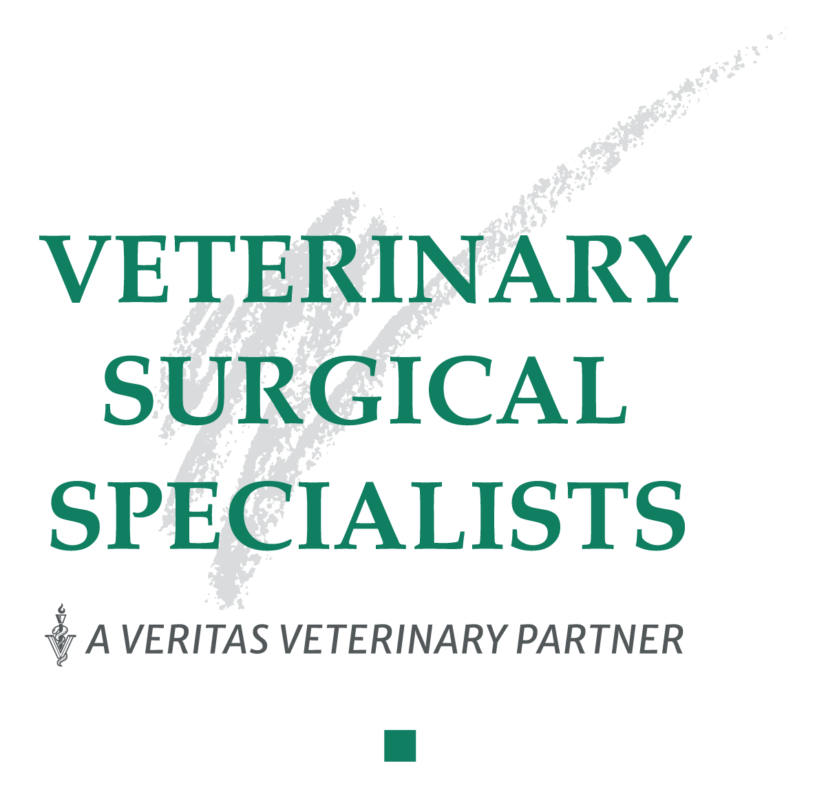 Veterinary Surgical Specialists